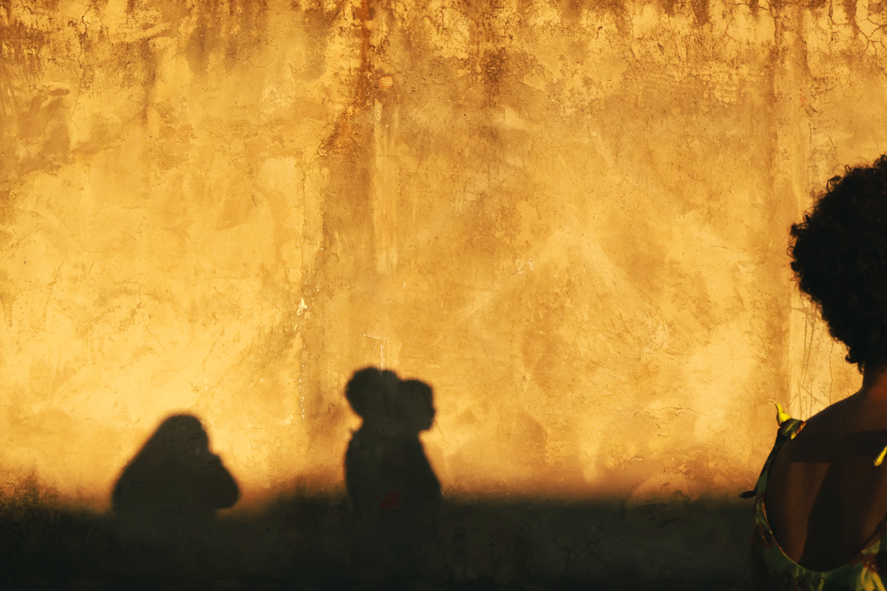 Sombras projetadas em parede amarela.